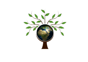 biomasa: ¿cuáles son sus beneficios?